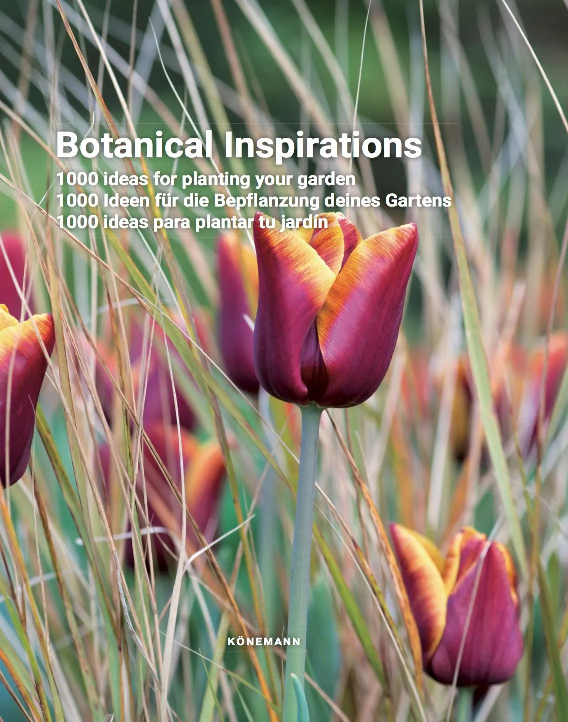 Botanical inspirations: Botanical inspirations: