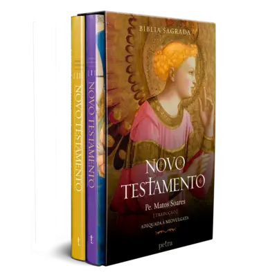 Box bíblia sagrada: novo testamento