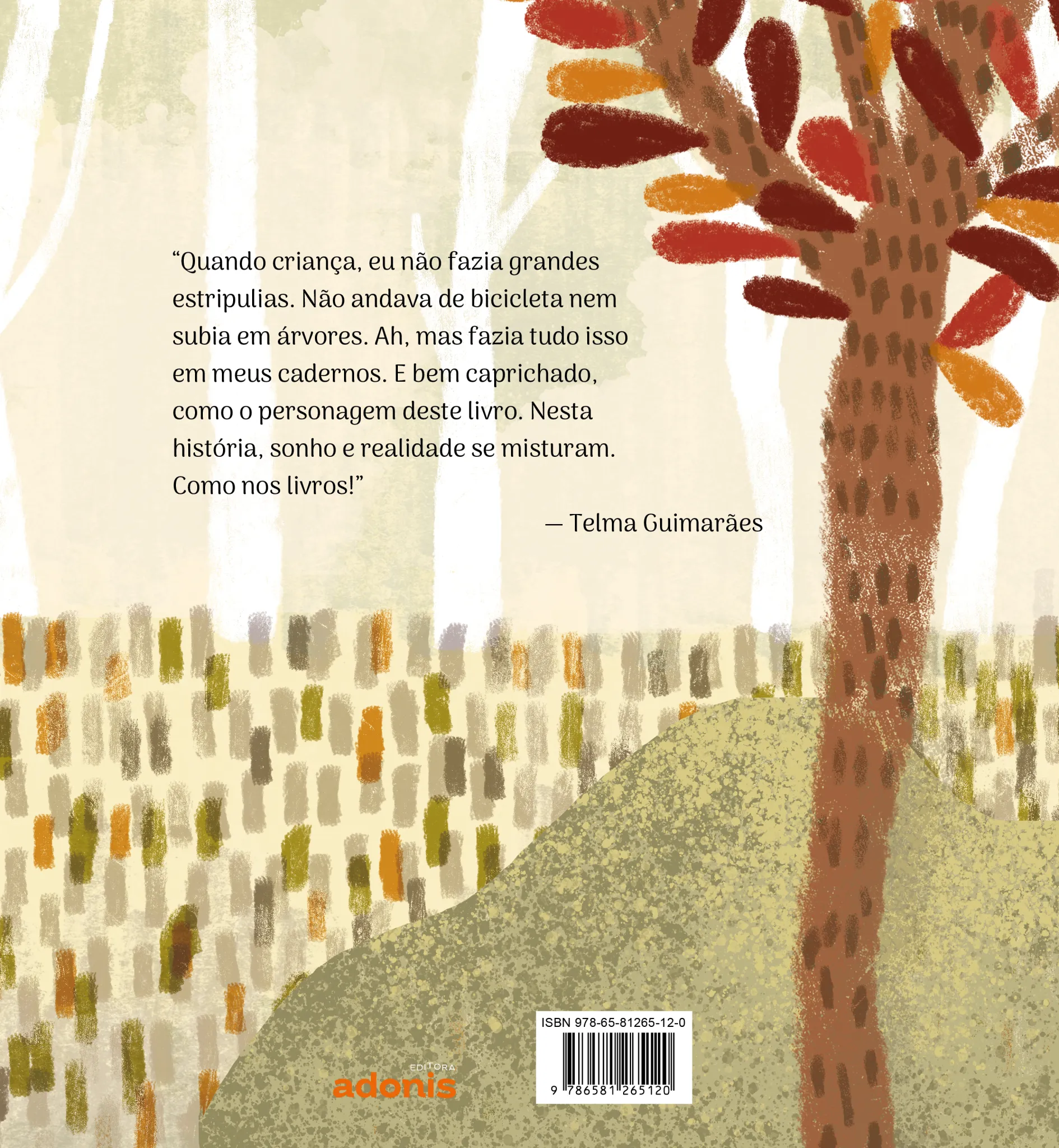 Coragem para voar: Coragem para voar Quarta Capa