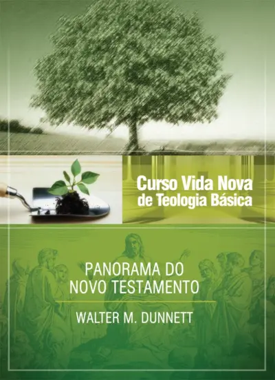 Curso vida nova de teologia básica - vol. 3 - panorama do novo testamento