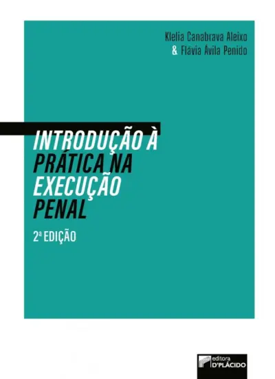 Introdução à prática na execução penal