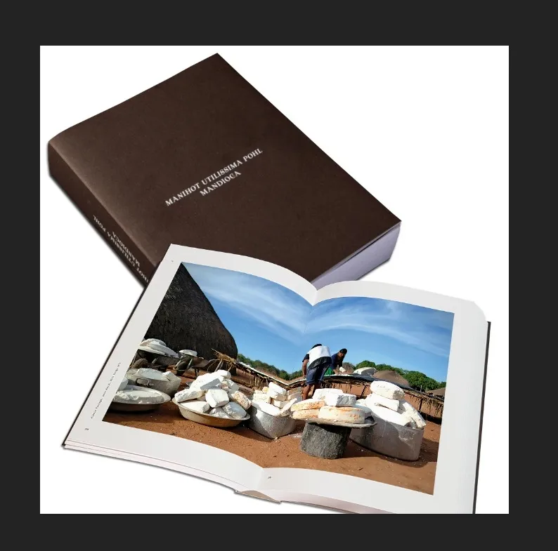 Mandioca: manihot utilissima pohl: Mandioca: manihot utilissima pohl