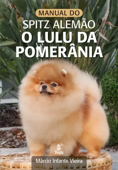 Manual do spitz alemão – O lulu da Pomerânia