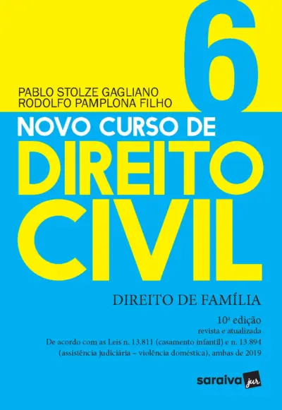 Novo curso de direito civil