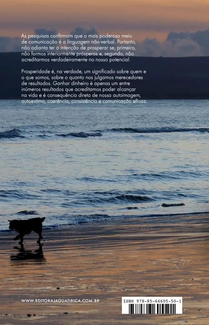 O mago e o vendedor: O mago e o vendedor Quarta Capa