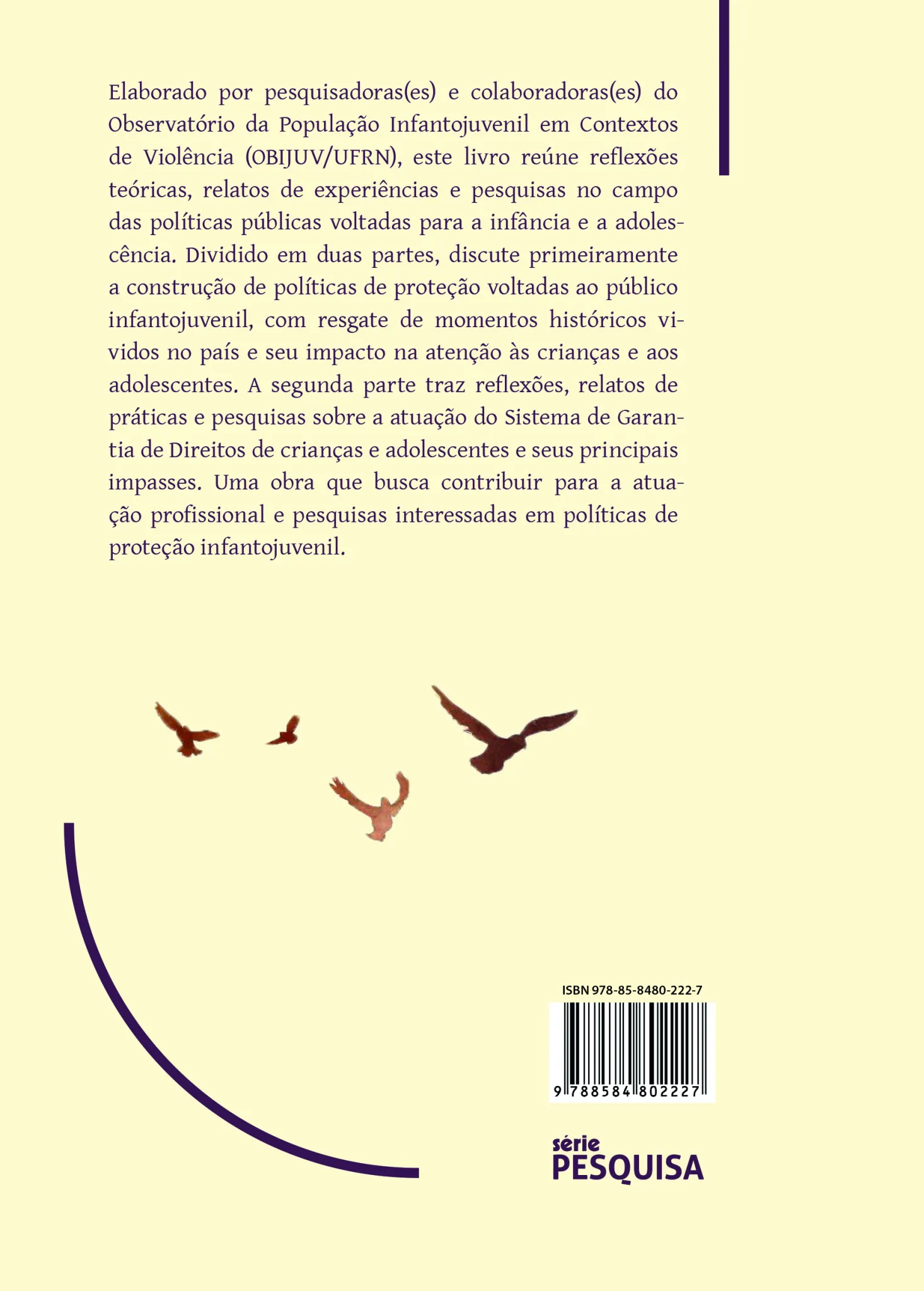 Políticas de atendimento e redes de proteção para crianças e adolescentes: Políticas de atendimento e redes de proteção para crianças e adolescentes Quarta Capa