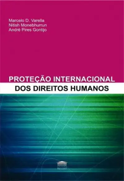 Proteção internacional dos direitos humanos