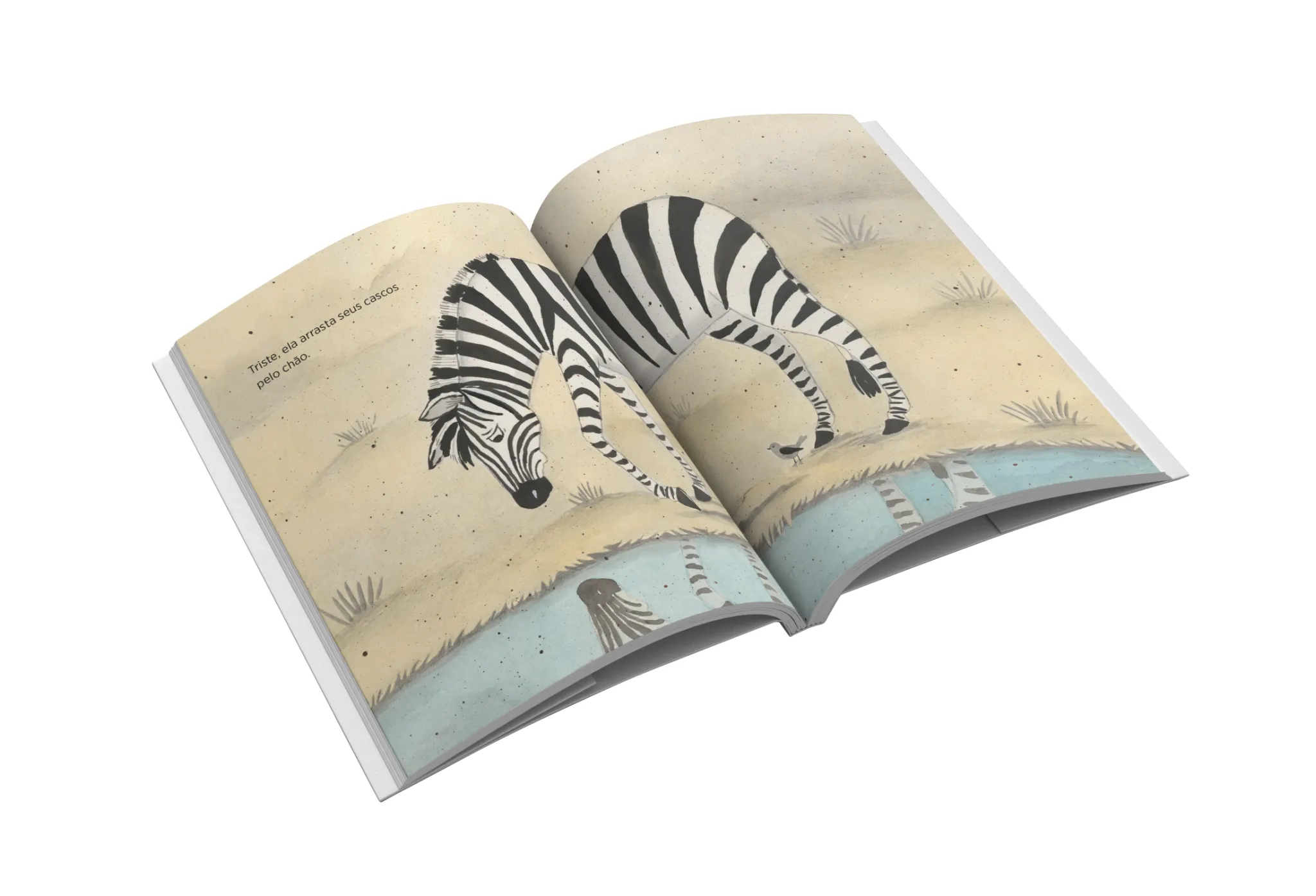 Zebra no espelho: Zebra no espelhoImagens Internas