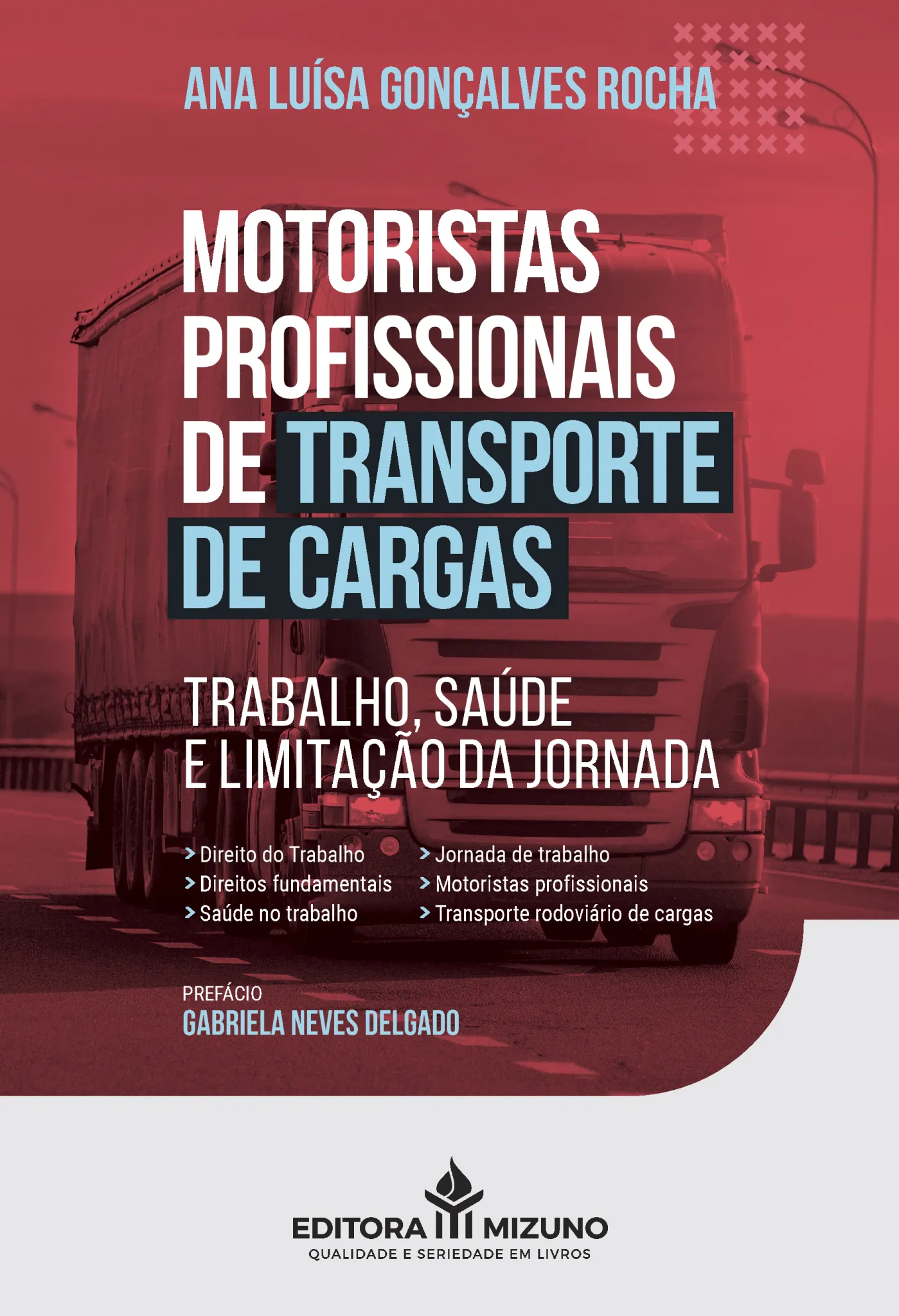 Motoristas profissionais de transporte de cargas: Motoristas profissionais de transporte de cargas: