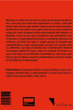 Mulheres em defesa do território-corpo-terra-águas: Mulheres em defesa do território-corpo-terra-águas Quarta Capa