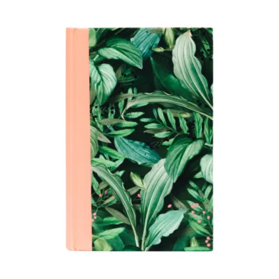 Bíblia Da Mulher De Fé