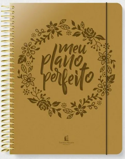 Meu plano perfeito (capa PU dourada)