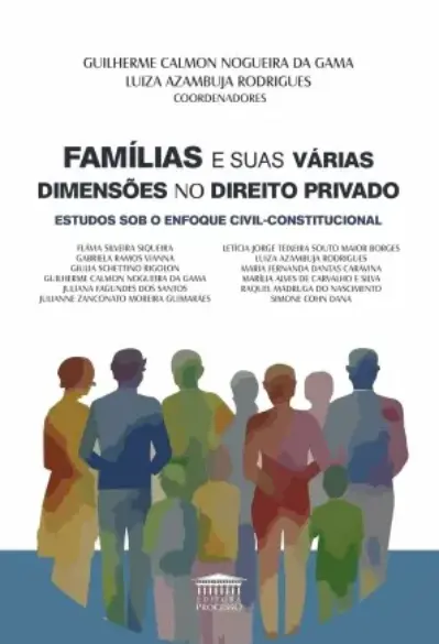 Famílias e suas várias dimensões no Direito Privado - Estudos sob o enfoque civil-constitucional