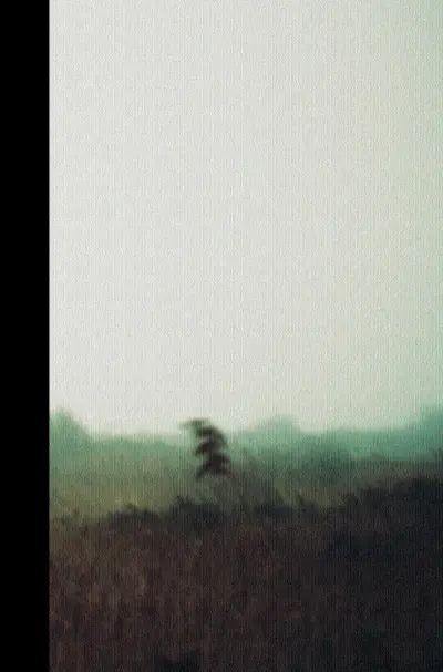 Histórias familiares e outras histórias