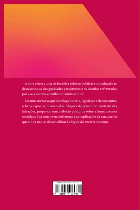 Mulheres Infratoras: A adolescência, a precarização, o apagamento social: Mulheres Infratoras: A adolescência, a precarização, o apagamento social Quarta Capa