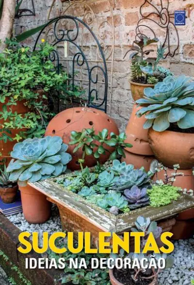 Suculentas - Ideias na Decoração