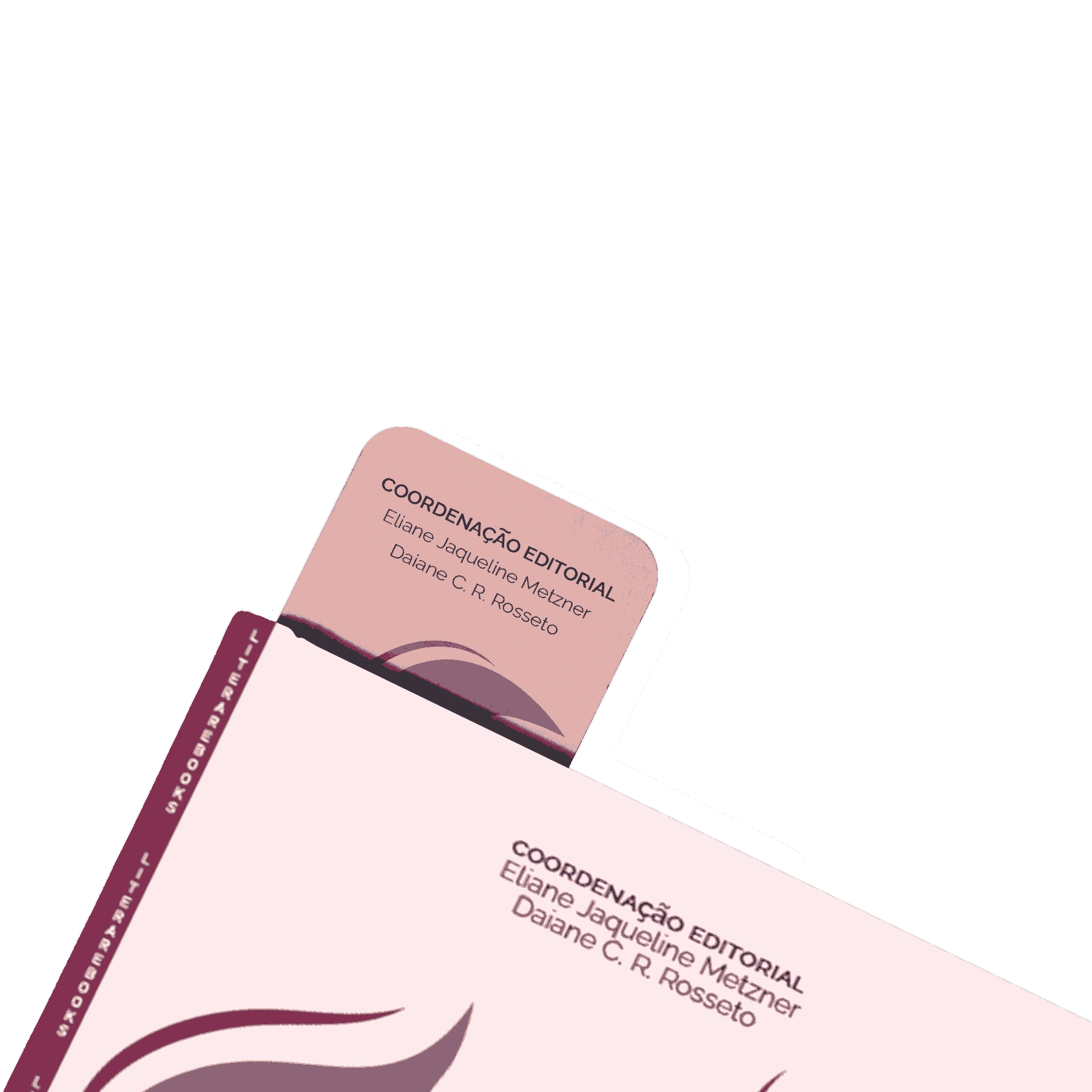 A voz da sororidade: Um livro que conecta mulheres e negócios - Vol II A voz da sororidadeImagens Internas