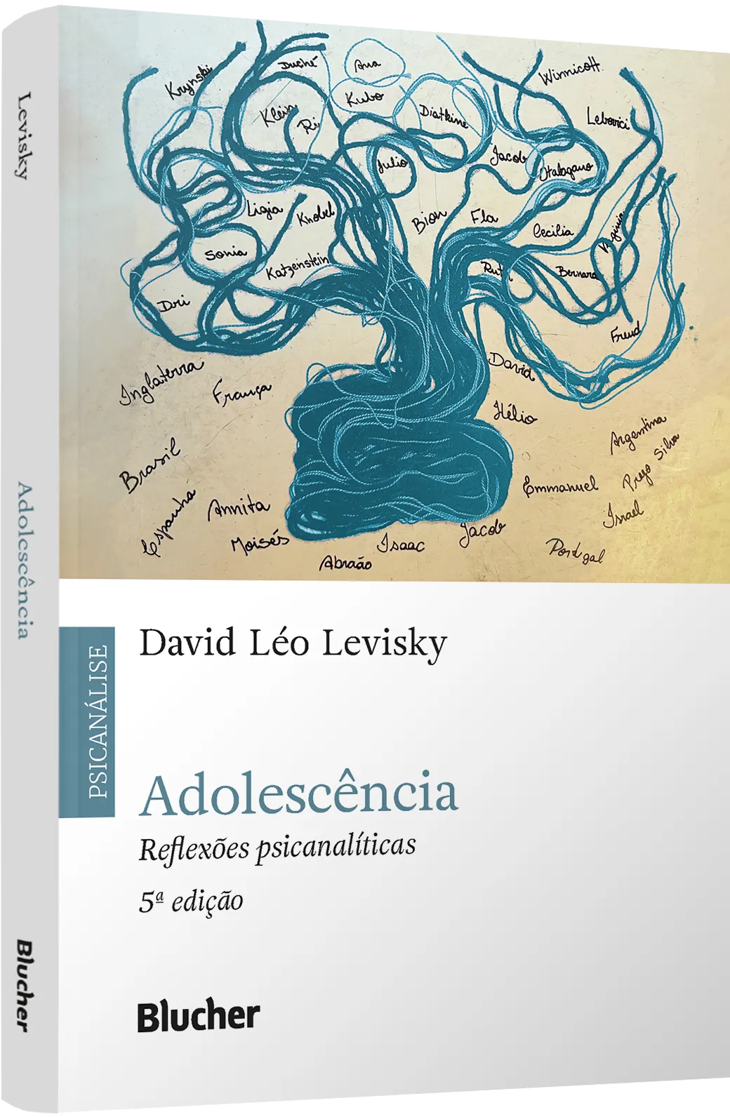 Adolescência: reflexões psicanalíticas AdolescênciaImagens Sem Perspectiva