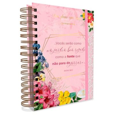 Meu Plano com Deus - Abundância