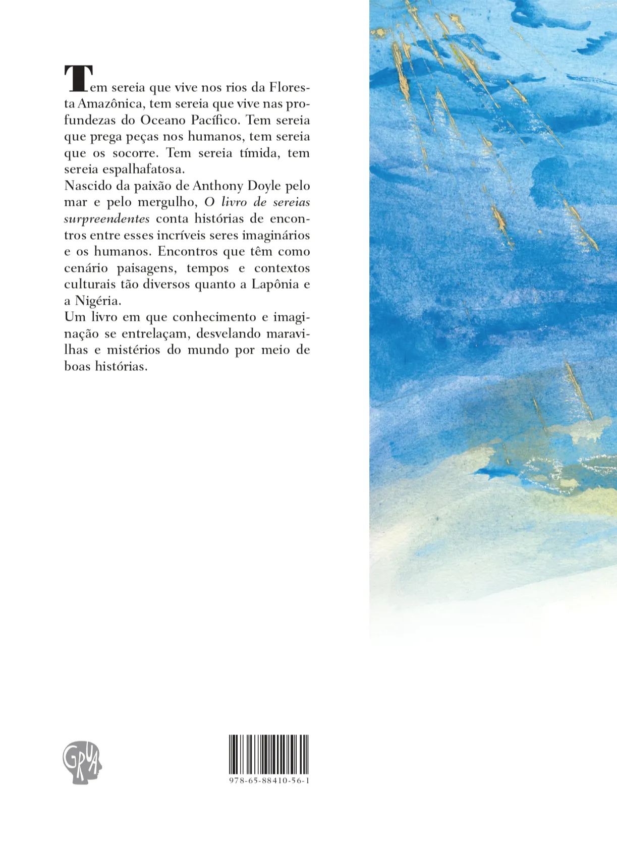 O livro de sereias surpreendentes: O livro de sereias surpreendentes Quarta Capa