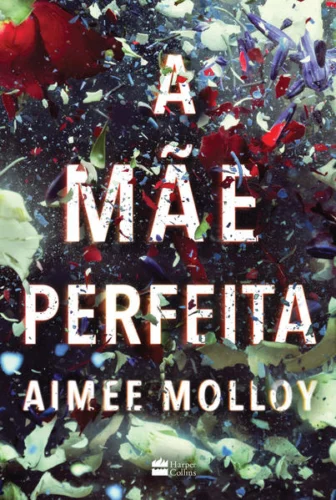 A mãe perfeita: