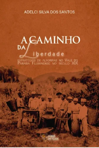 A caminho da liberdade: estratégias de alforrias no Vale do Paraíba Fluminense no século XIX