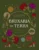 Bruxaria da terra: Conecte-se com o poder dos quatro elementos e domine a prática da magia natural