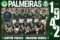 Coleção Oficial Histórica Palmeiras – Campeão Paulista de 1942: