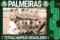 Coleção oficial histórica palmeiras – Tetracampeão brasileiro de 1969: