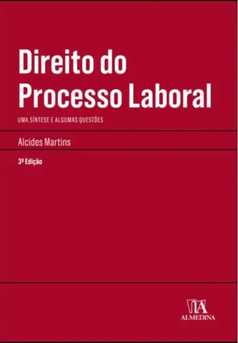 Direito do processo laboral: uma síntese e algumas questões