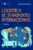 Logística de transportes internacionais: