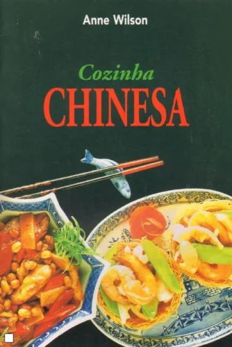 Mini cozinha – cozinha chinesa: