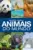 Mundo Animal – Animais do Mundo: