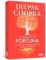 O caminho da fortuna: uma jornada interior para uma vida próspera e abundante