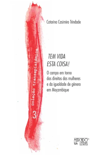Tem vida esta coisa!: o campo em torno dos direitos das mulheres e da igualdade de género em Moçambique