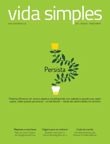 Vida Simples: Persista: