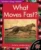 What moves fast?: